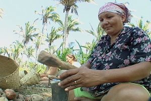 Comissão aprova projetos que reconhecem tradições locais como manifestações culturais Comissão aprova projetos que reconhecem tradições locais como manifestações culturais