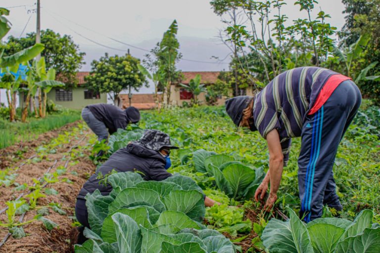 Sancionada lei que amplia acesso de agricultores familiares ao Garantia-Safra