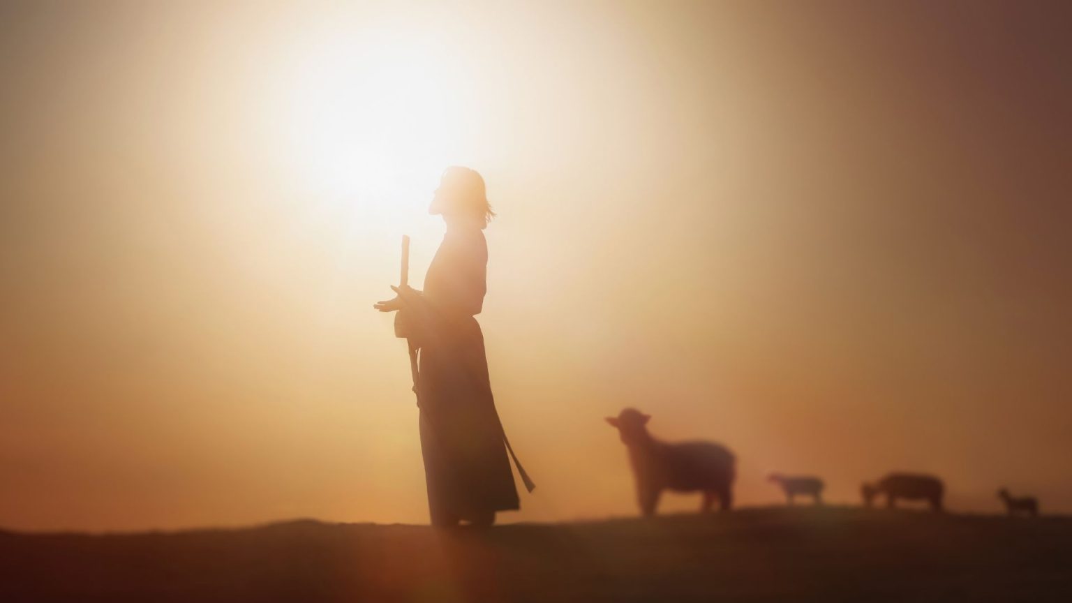 Vara e Cajado: Entre a Correção e o Consolo, a Mão Amorosa de Deus