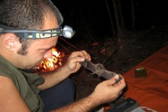 Peld Psam identifica novas espécies e amplia conhecimento sobre biodiversidade ao longo da BR-319 no sudoeste da Amazônia