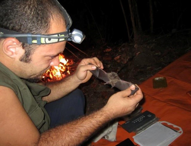 Peld Psam identifica novas espécies e amplia conhecimento sobre biodiversidade ao longo da BR-319 no sudoeste da Amazônia