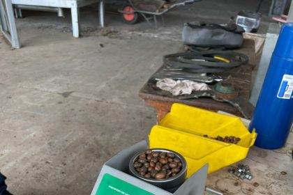 Idam visita agroindústria que receberá safra de café de Guajará estimada em 100 mil sacas