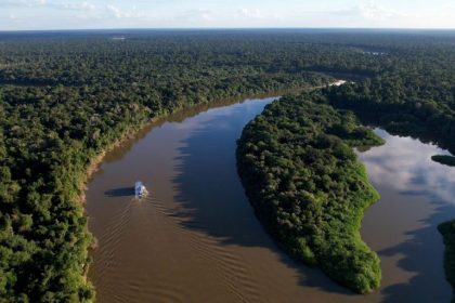 Desmatamento no Amazonas cai 14,6% em 2025, aponta relatório do MapBiomas Alerta