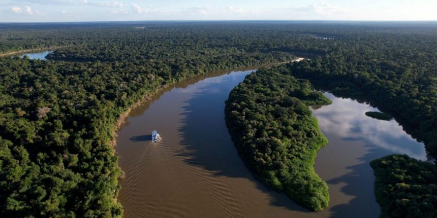 Desmatamento no Amazonas cai 14,6% em 2025, aponta relatório do MapBiomas Alerta