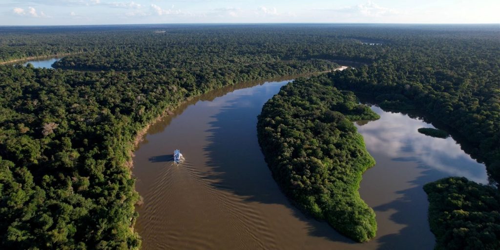 Desmatamento no Amazonas cai 14,6% em 2025, aponta relatório do MapBiomas Alerta
