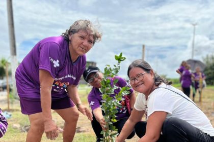 Projeto Plantar para colher mobiliza idosos para plantio de 100 mudas no Parque Municipal do Mindu