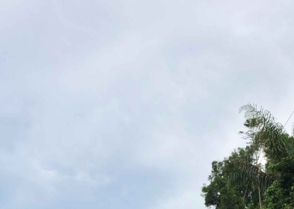 Governo do Amazonas avança na pavimentação do ramal Terra Preta em Manacapuru com investimento de R$ 5,95 milhões
