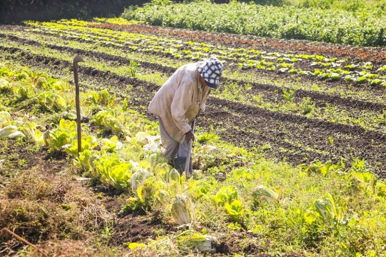 MP 1325/25 perde validade e impede uso de R$ 190 milhões destinados à agricultura familiar