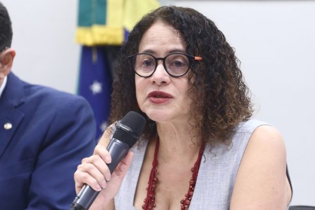 Comissão da Câmara cancela debate com a ministra Luciana Santos sobre planejamento do ministério para 2026