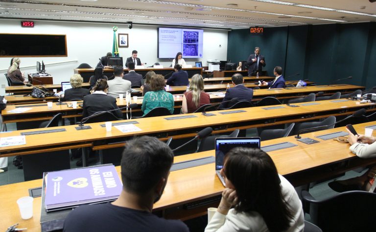 Risco de extinção dos jumentos motiva pedido de proibição do abate e exportação para mercados internacionais