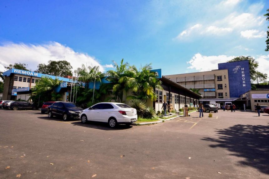 Hemoam abre inscrições para Residência Multiprofissional em Atenção à Oncologia com 10 bolsas; prazo até 15 de julho