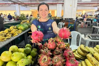 Feiras de produtos regionais da ADS terão 12 edições nesta semana com duas realizadas no Ipaam