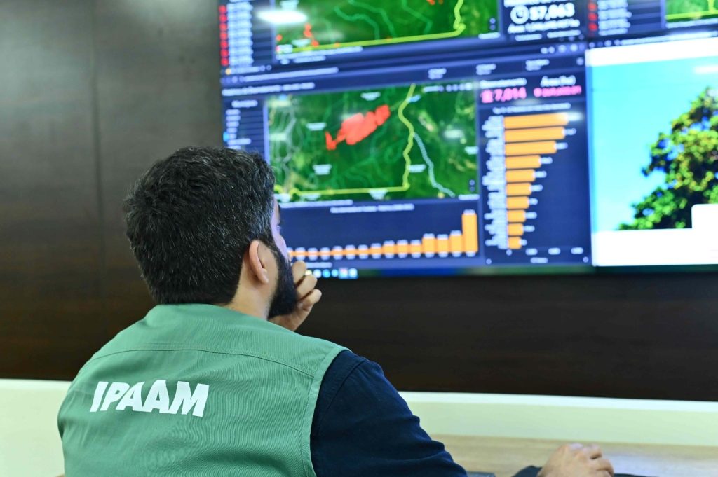 Desmatamento no Amazonas cai 57% entre janeiro e maio de 2026, segundo dados do Inpe e Ipaam