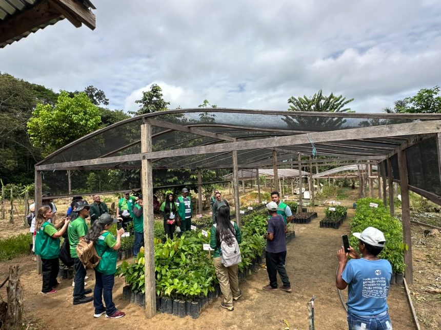Prefeitura de Manaus apresenta ações do Junho Verde na comunidade Agrovila na RDS do Tupé