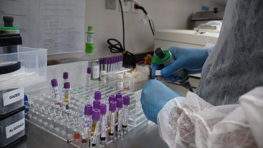 Doação de sangue é essencial para manter atendimentos no Complexo Hospitalar Sul e Instituto Dona Lindu