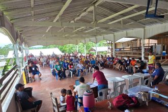 Idam inicia assistência técnica e regularização na Resex Catuá-Ipixuna para fortalecer cadeia da castanha-da-Amazônia em Tefé