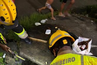 Corpo de Bombeiros realiza resgate de cachorros que caíram em bueiro na zona Leste de Manaus na noite de 08/06