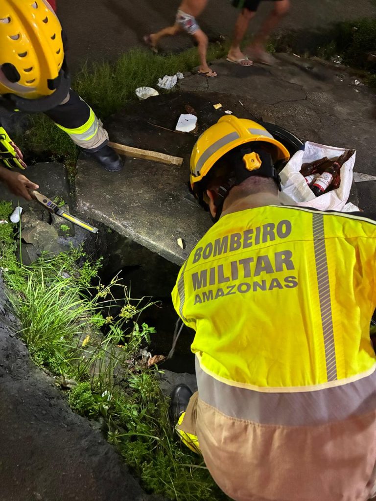 Corpo de Bombeiros realiza resgate de cachorros que caíram em bueiro na zona Leste de Manaus na noite de 08/06