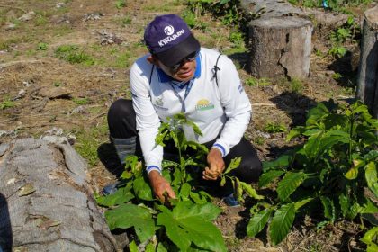 Idam leva assistência técnica a agricultores do ramal Envira/Jurupari em Envira para ampliar produtividade e sustentabilidade