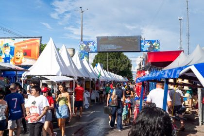 Governo do Amazonas realiza pesquisa para mapear impacto econômico e social do Festival de Parintins