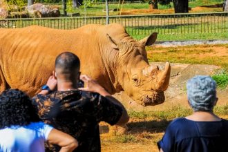 Missão Zoo estreia no Zoológico de Brasília com programação educativa durante feriado