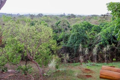 GDF anuncia investimentos de R$ 16,8 milhões em ações de meio ambiente no Distrito Federal em junho
