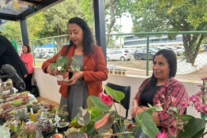 Feira Junina dos Consegs Rurais reúne produtores e fortalece agricultura familiar no Distrito Federal