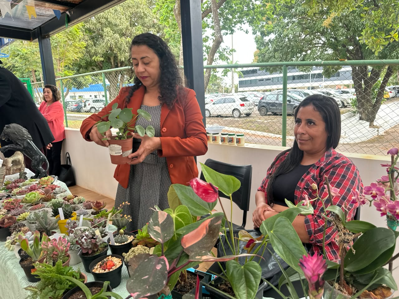 Feira Junina dos Consegs Rurais reúne produtores e fortalece agricultura familiar no Distrito Federal