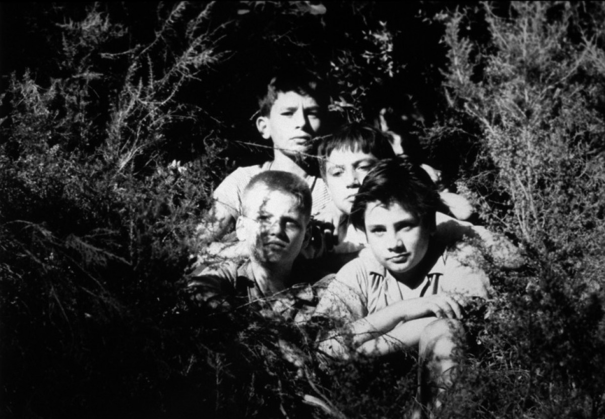 Cine Brasília exibe Mostra Truffaut por Completo com clássicos e curta nos dias 19 e 20