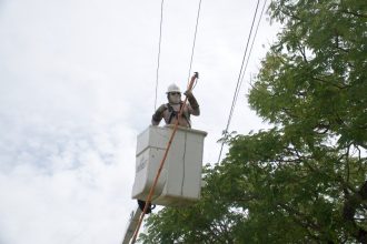 Interrupção de energia atinge Jardim Botânico e Brazlândia nesta sexta-feira (19) para poda de árvores