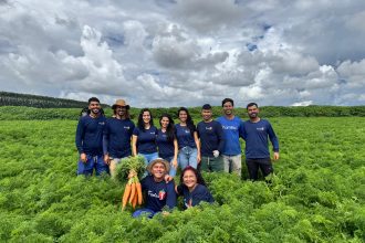 Família no Distrito Federal consolida produção de morango com apoio da Emater-DF e crédito rural