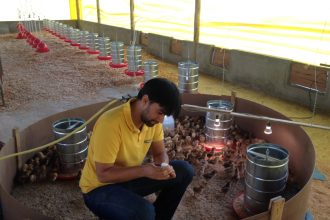Concurso Emater-DF tem validade prorrogada até 11 de janeiro de 2030 e amplia convocações