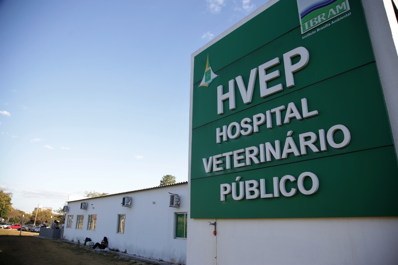 Serviço Veterinário Público tem edital para selecionar organização que vai operar atendimentos gratuitos no Distrito Federal