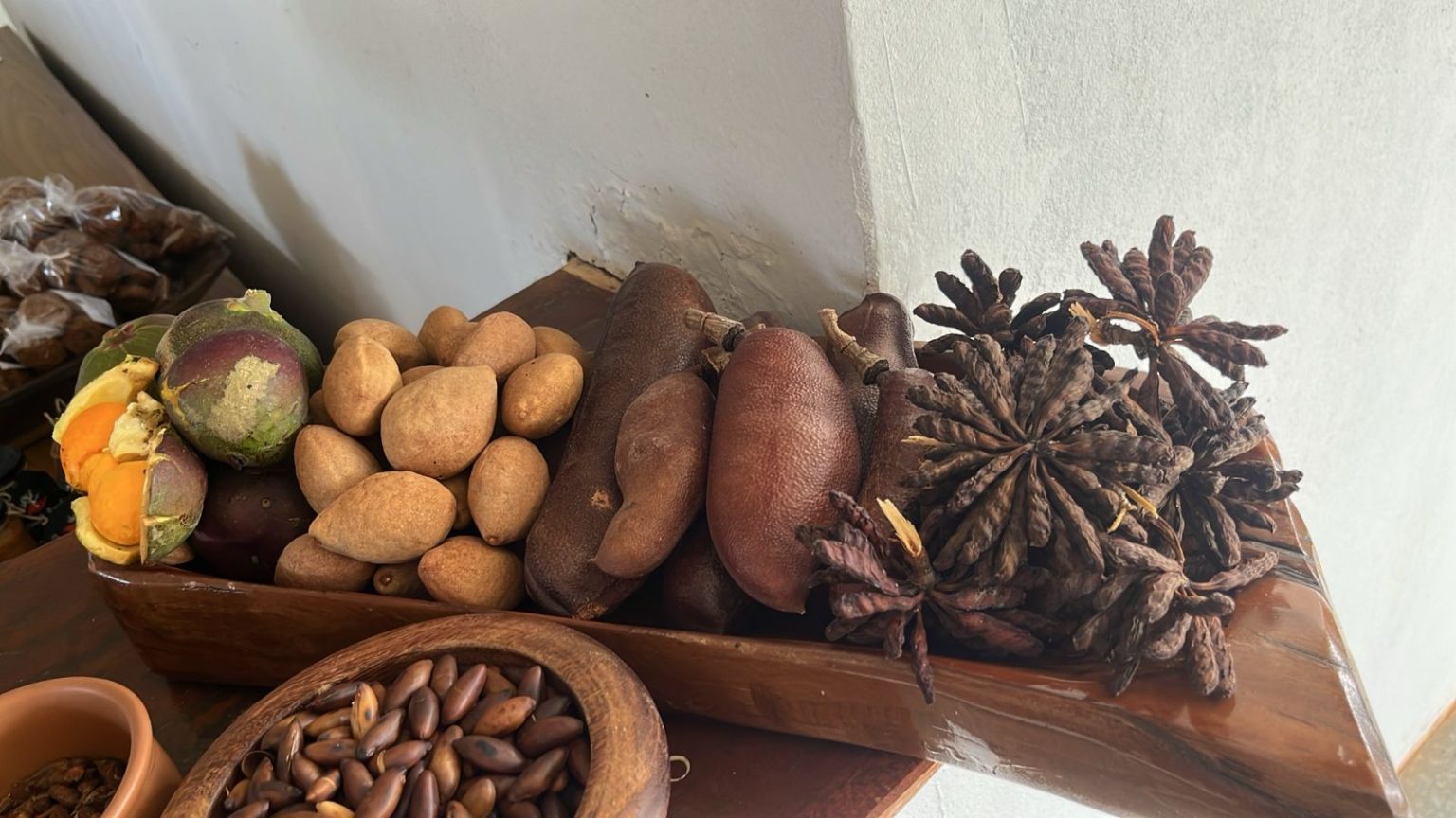 IPEDF lança estudo sobre valorização de produtos florestais não madeireiros do Cerrado e aponta potencial econômico e desafios