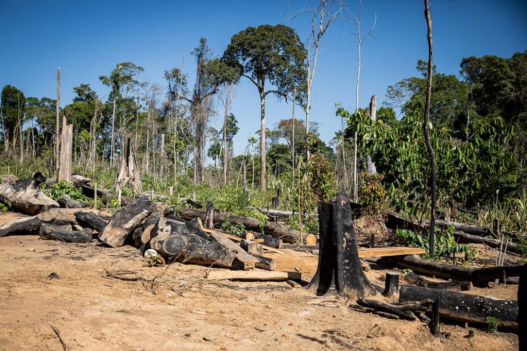 Comissão da Câmara promove seminário sobre crimes ambientais, agronegócio e investimentos