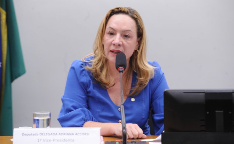 Câmara aprova projeto para ampliar delegacias especializadas de atendimento à mulher em municípios com mais de 20 mil habitantes
