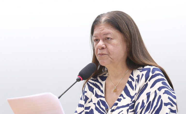 Câmara aprova prioridade para mulher chefe de família em linhas de crédito da agricultura familiar