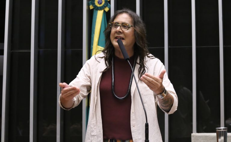 Comissão aprova projeto que obriga instalação de telhados verdes em novos prédios públicos