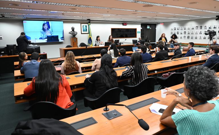 Câmara promove audiência pública para discutir criminalização da misoginia e o PL 896/23