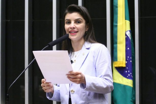 Comissão da Câmara aprova projeto que prevê regularização fundiária de produtores em florestas públicas da União