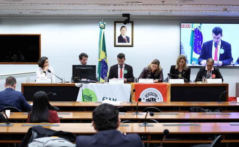 Audiência na Câmara defende mecanismo de reajuste anual para alimentação escolar e proteção do PNAE