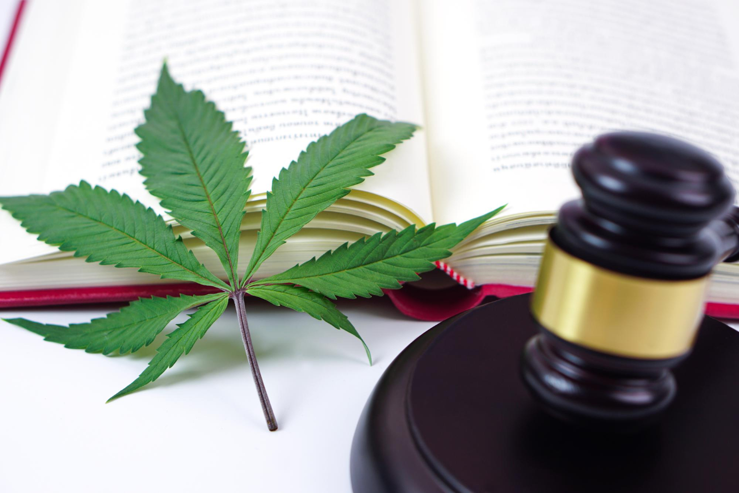 Dispensa por justa causa revertida em Manaus após trabalhador portar um grama de maconha