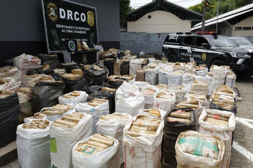 PC-AM apreende 6,8 toneladas de drogas no primeiro semestre de 2026 e causa prejuízo estimado de R$ 132,2 milhões às organizações criminosas