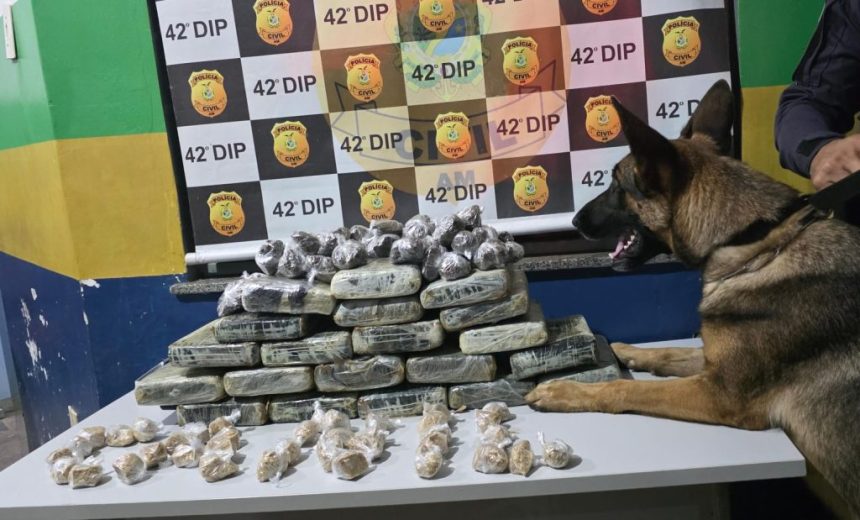 Operação Segurança Presente causa prejuízo superior a R$ 134 milhões ao crime organizado no Amazonas em dois meses