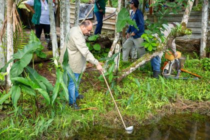 Alerta sobre malária em Manaus destaca aumento sazonal de casos e medidas de prevenção