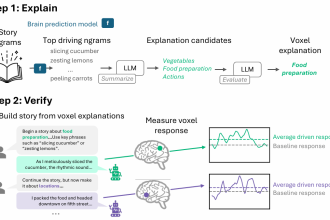 Testes causais generativos traduzem modelos de linguagem em hipóteses testáveis sobre o córtex cerebral