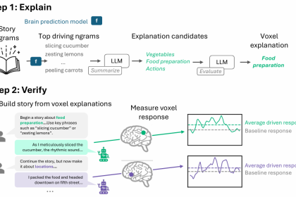 Testes causais generativos traduzem modelos de linguagem em hipóteses testáveis sobre o córtex cerebral