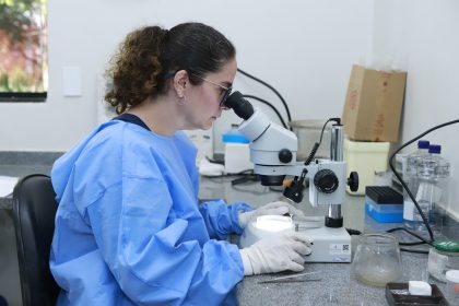Seca entre maio e setembro eleva atenção para febre maculosa e prevenção contra carrapatos