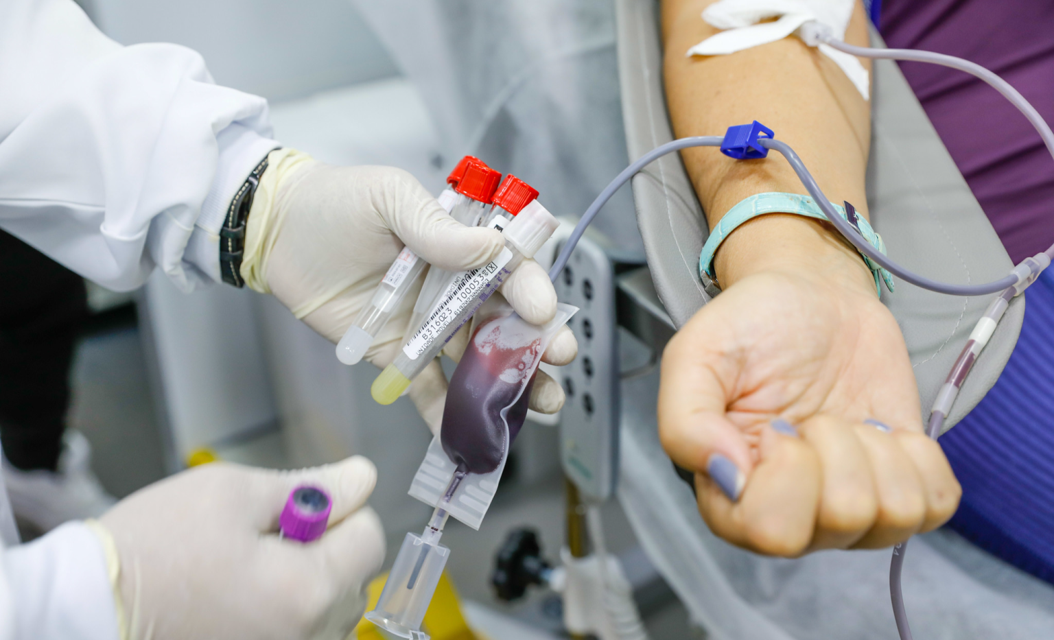 Agendamento para doação de sangue já disponível no site com regras e contatos atualizados