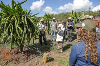 Produtores rurais do Distrito Federal têm acesso a assistência técnica e extensão rural gratuita em 15 escritórios e centro de formação